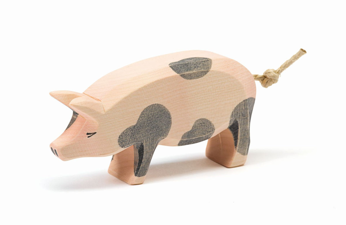 Schwein gefleckt Kopf hoch