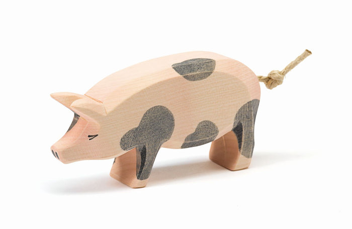 Schwein gefleckt Kopf hoch