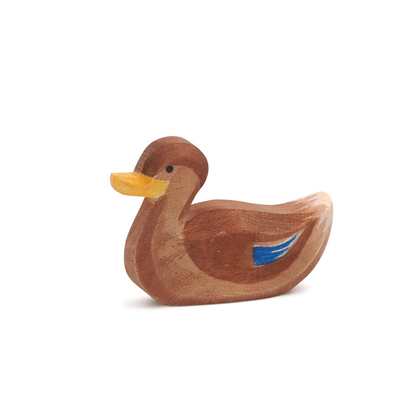 Ente schwimmend
