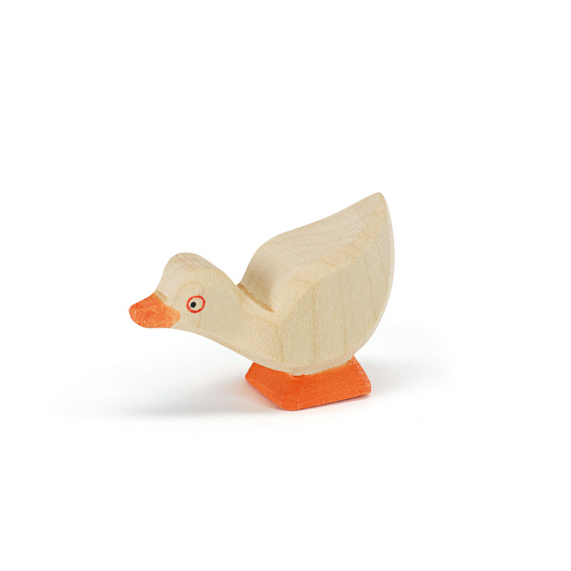 Gänseküken Kopf tief