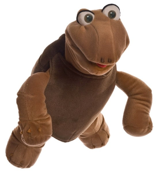 Kleiner Sammy die Schildkröte