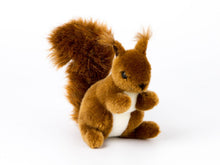 Laden Sie das Bild in den Galerie-Viewer, Eichhörnchen klein von Kösen - Wünschdirwasshop