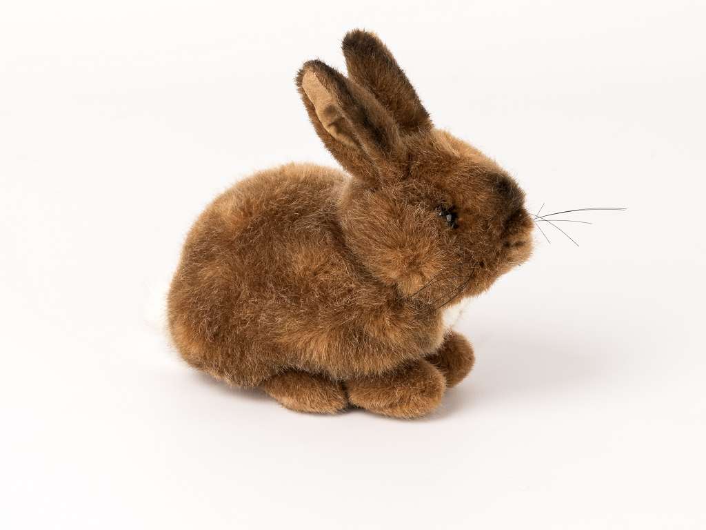 Kleines Kaninchen "Purzel" von Kösen
